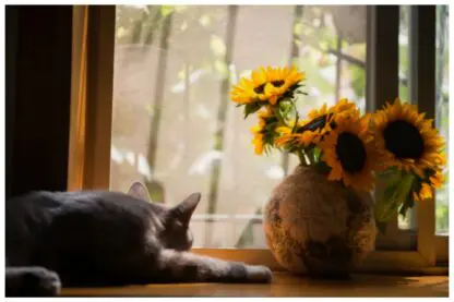 Qual melhor vidro para janela: 3 tipos, dicas e diferenças